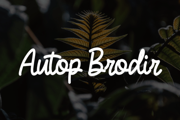 Autop Brodir: A Designer's Guide to This Versatile Typeface